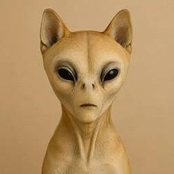 alien inu