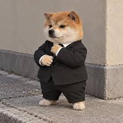 AGENT