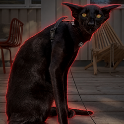 VAMPURR