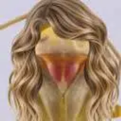 SWIFTIEPHYLUS