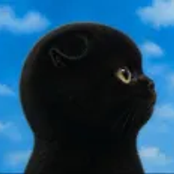 NOBI