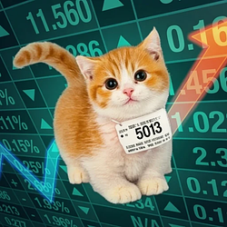 perpcat / BNB