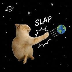 SLAP / SOL