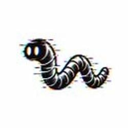 WORM