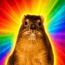 HYRAX / SOL