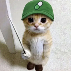 PUMPCAT