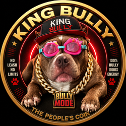 $KBULL / SOL