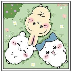 CHI HACHI