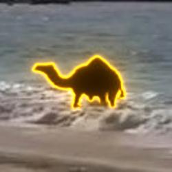 NESSIE