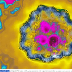 Hepatitis / SOL