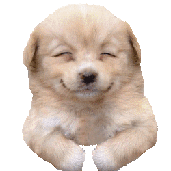 DOGGU