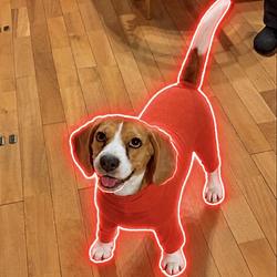 ふて
