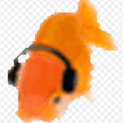 dancefish