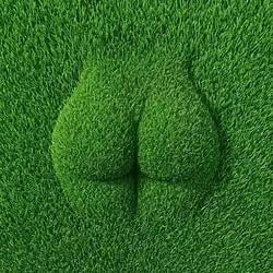 grASS