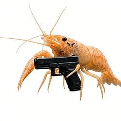 ShrimpGun