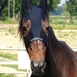 Varenne
