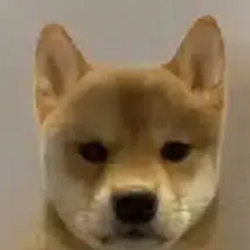 INU