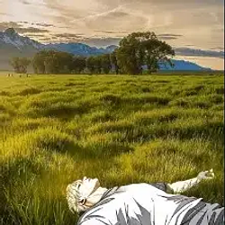 BA / SOL