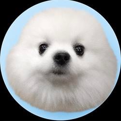 PYONYA