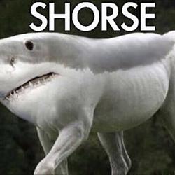 SHORSE