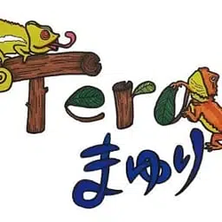 Teramayuri / SOL