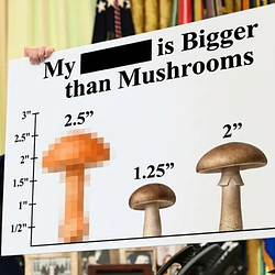 Mushroom / SOL