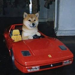 Inurari