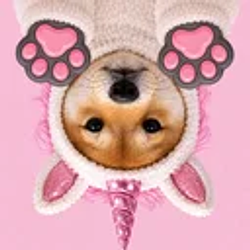 PAWSINU / SOL