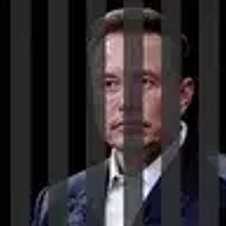 Elon / SOL
