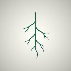 ROOT