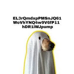 ㅤㅤㅤㅤ