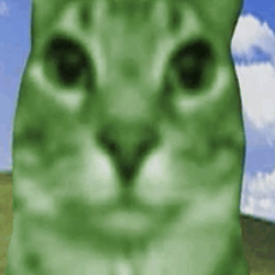 蓬蓬