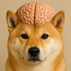 Brainu / SOL