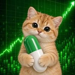 holdcat