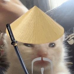 KATANACAT