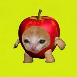 APPLCAT
