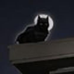 batcat / SOL