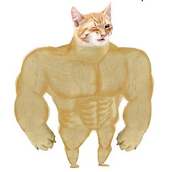 Swole