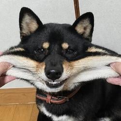 KAGETORA