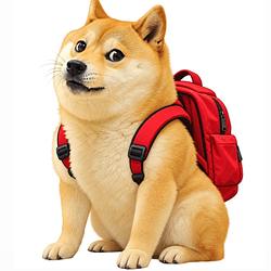 DogeWifB