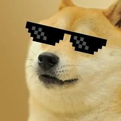 LOLDOGE / SOL
