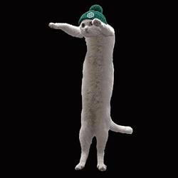 LONGGPTCAT