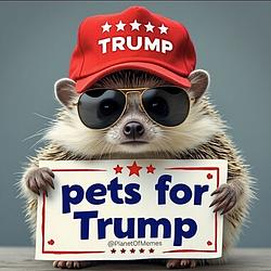 TrumpCoin / SOL