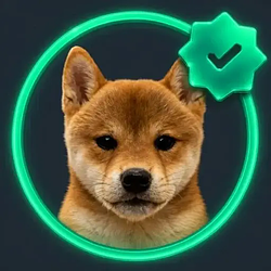 VDOG / SOL