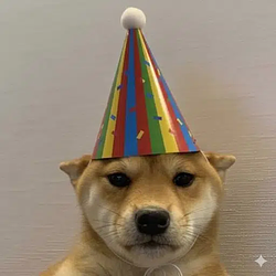 Partydog / SOL