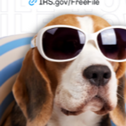 COOLDOG
