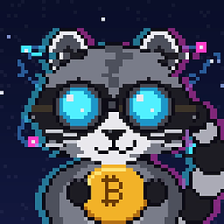 QuantumRacoon