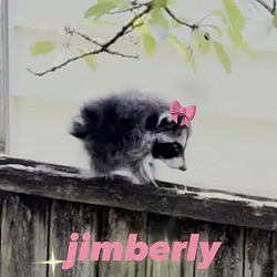 JIMBERLY / SOL