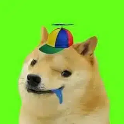 Stupidinu