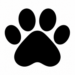 THECAT